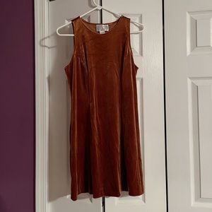 Vintage Velvet Dress